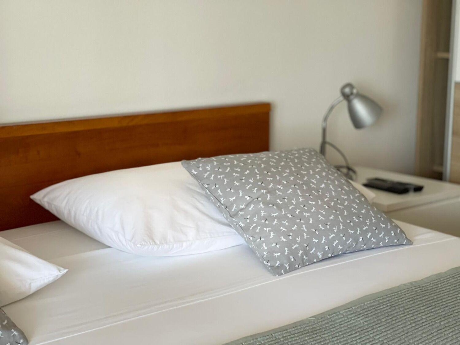 Apartment Bilja ロゴズニッツァ エクステリア 写真