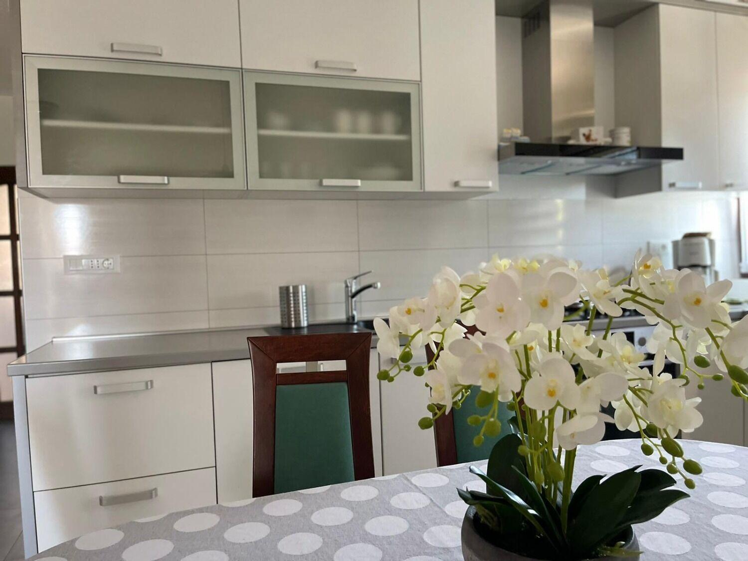 Apartment Bilja ロゴズニッツァ エクステリア 写真